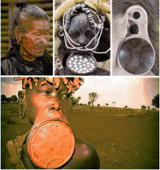 ������������ ����