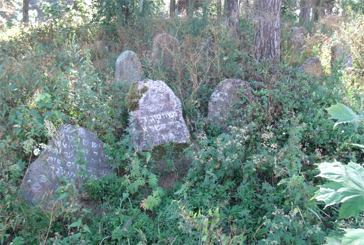 Раков, еврейское кладбище