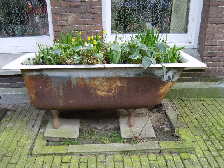 Амстердам, вторая жизно ванны