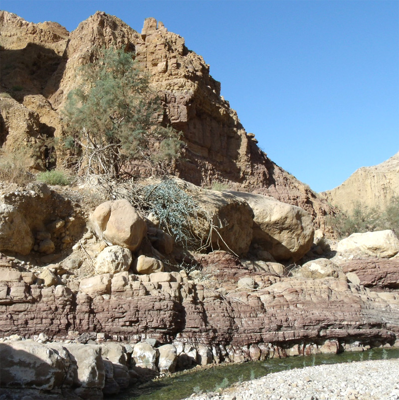 Мёртвое море, вади, ущелье,  wadi